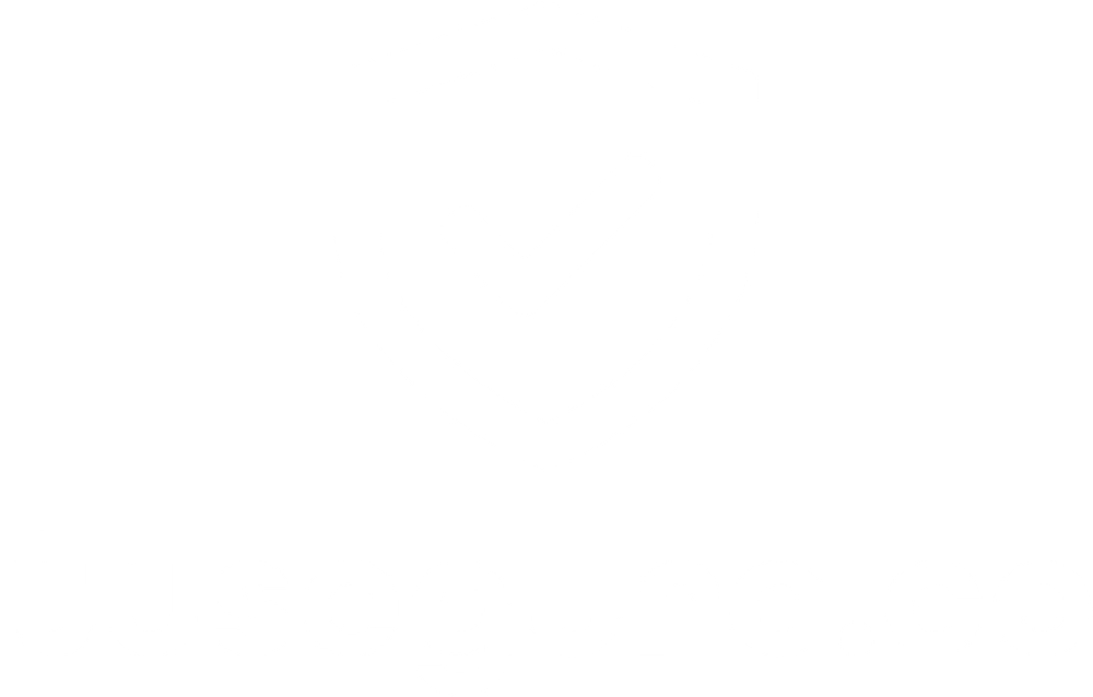 tuseguro.co